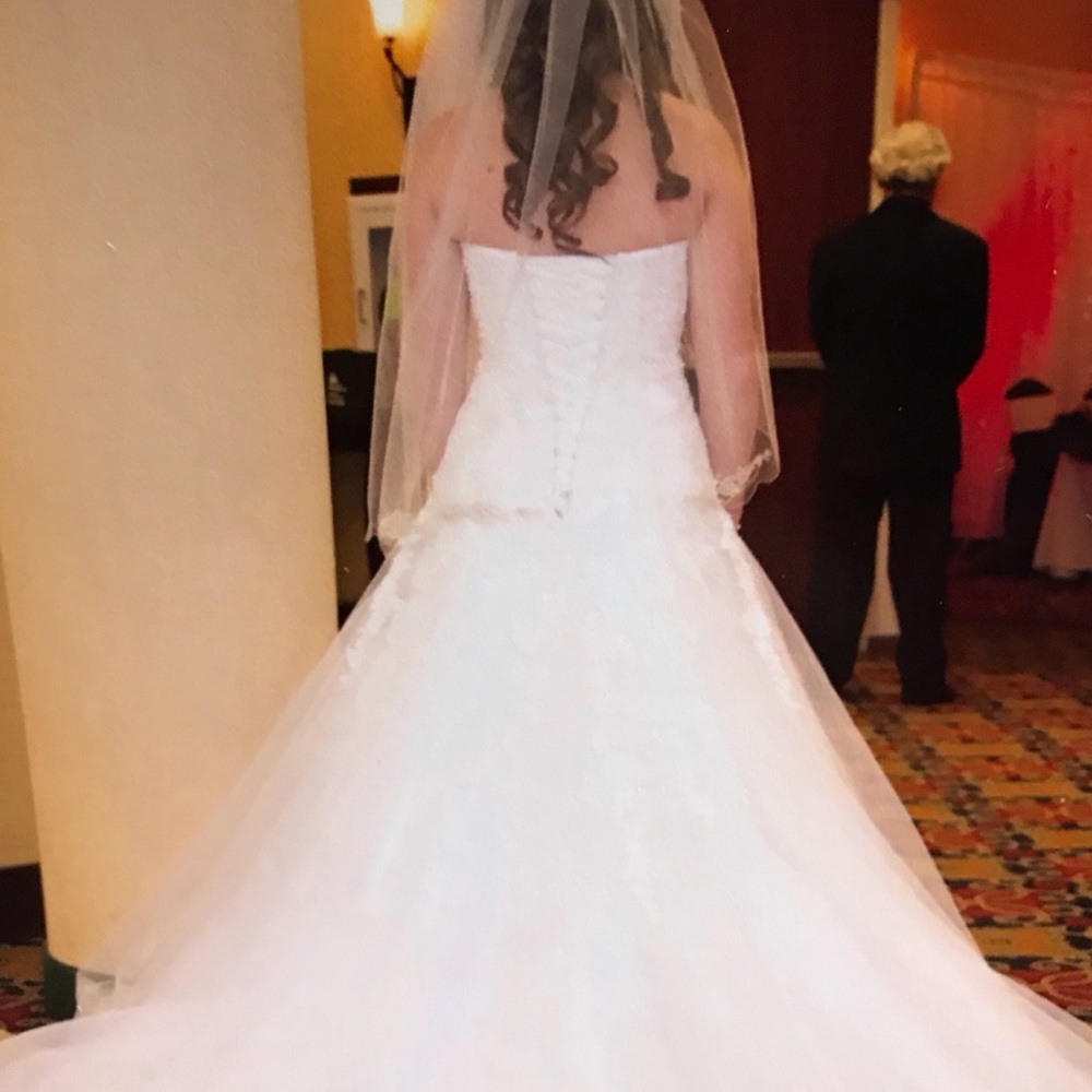 Wedding Dress - Picture 3 of 8